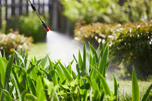 24/7 Emergency Termite Control experts in Cannelton, IN